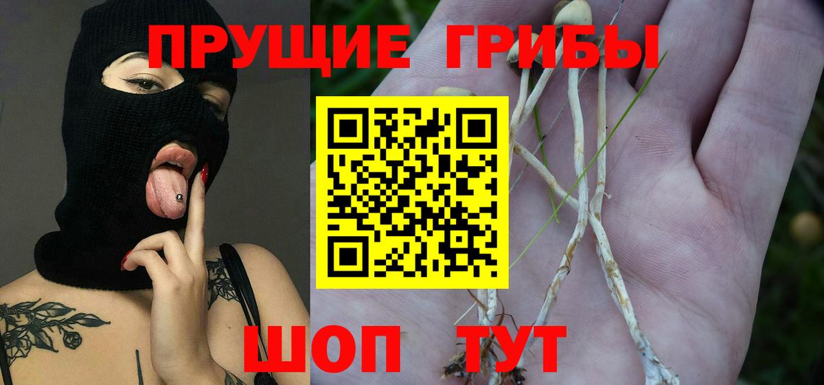 Галлюциногенные грибы мицелий  Вход с VPN  Ялуторовск 